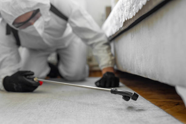 Professional Mosquito Control technician working in Stuart, FL