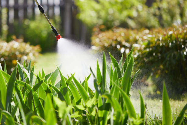 24/7 Emergency Mosquito Control experts in Stuart, FL