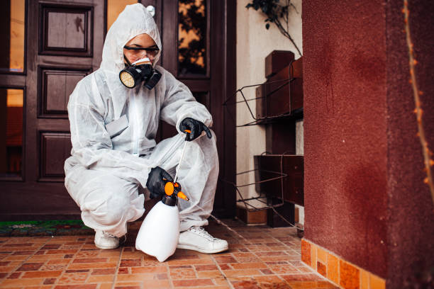 Reliable Mosquito Control contractor in Stuart, FL by Nex Pest Control
